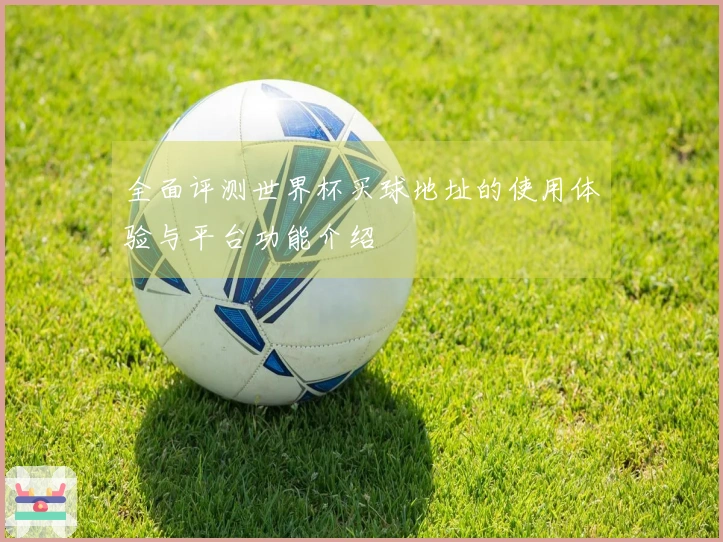 全面评测世界杯买球地址的使用体验与平台功能介绍