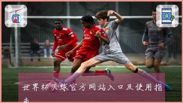 世界杯买球官方网站入口及使用指南