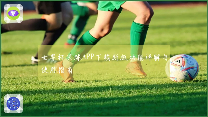 世界杯买球APP下载新版功能详解与使用指南