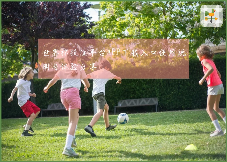 世界杯投注平台APP下载入口使用说明与体验分享