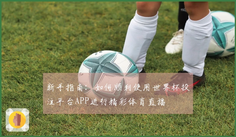 新手指南：如何顺利使用世界杯投注平台APP进行精彩体育直播