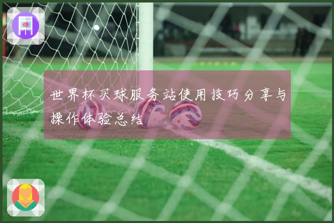 世界杯买球服务站使用技巧分享与操作体验总结