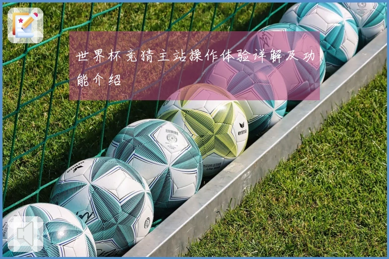 世界杯竞猜主站操作体验详解及功能介绍