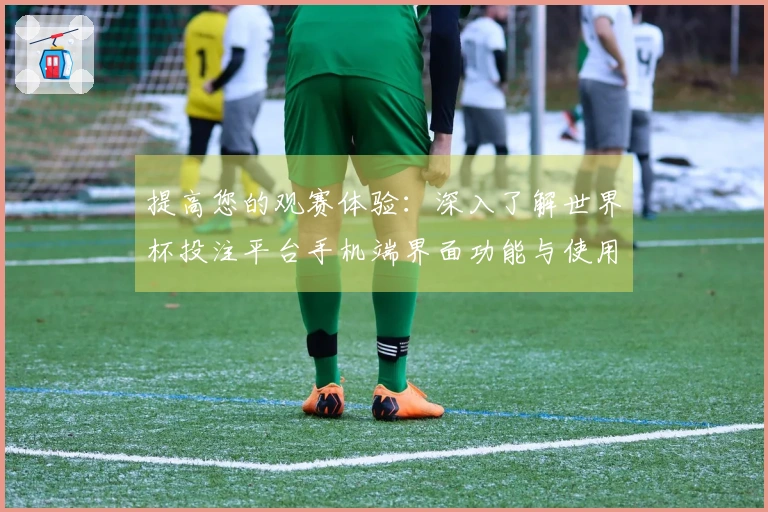 提高您的观赛体验：深入了解世界杯投注平台手机端界面功能与使用指南