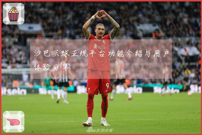 沙巴买球正规平台功能介绍与用户体验分享