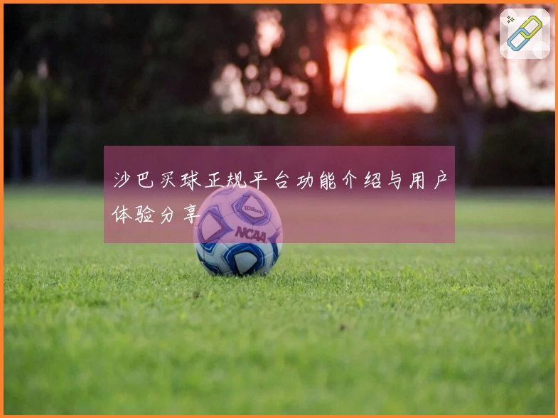 沙巴买球正规平台功能介绍与用户体验分享