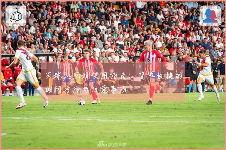 买球站网址使用指南：简单快捷的访问方法与注意事项