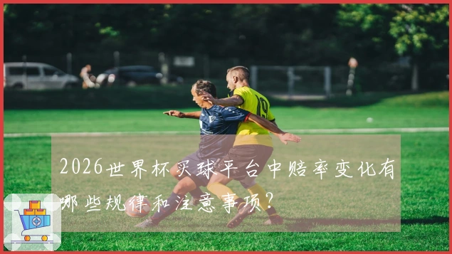 2026世界杯买球平台中赔率变化有哪些规律和注意事项？