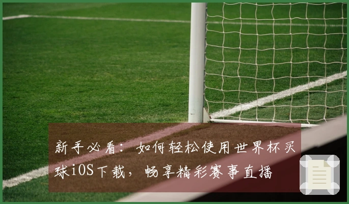 新手必看：如何轻松使用世界杯买球iOS下载，畅享精彩赛事直播