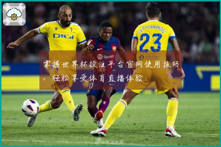 掌握世界杯投注平台官网使用技巧，轻松享受体育直播体验
