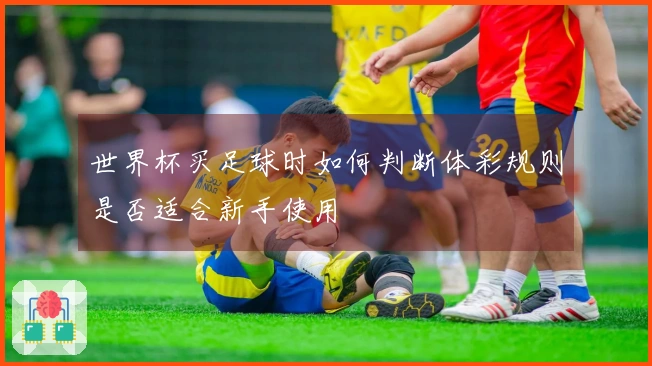 世界杯买足球时如何判断体彩规则是否适合新手使用