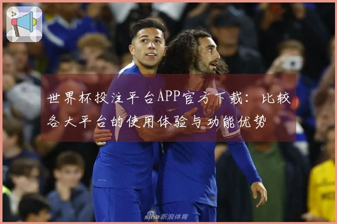 世界杯投注平台APP官方下载：比较各大平台的使用体验与功能优势