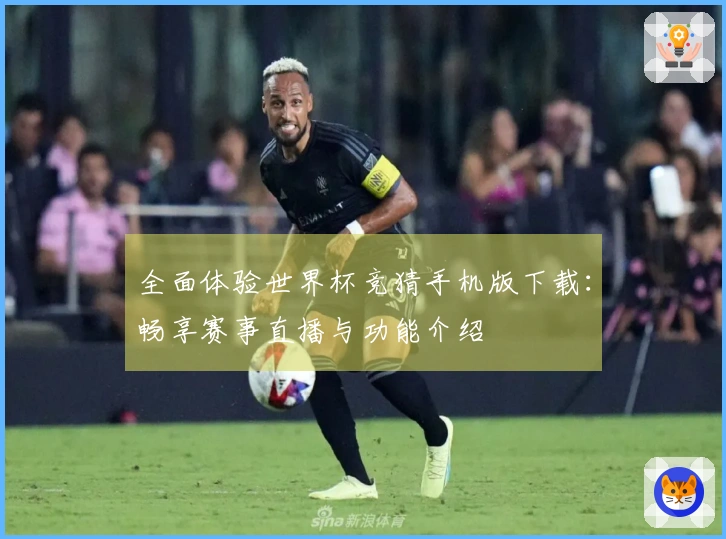 全面体验世界杯竞猜手机版下载：畅享赛事直播与功能介绍