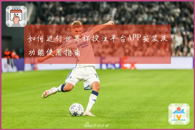 如何进行世界杯投注平台APP安装及功能使用指南