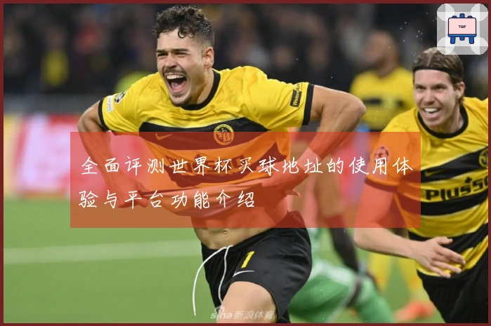 全面评测世界杯买球地址的使用体验与平台功能介绍